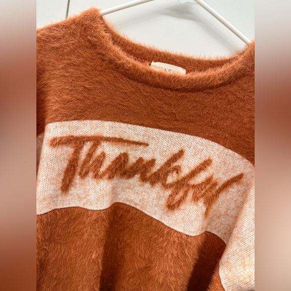 Cozy Burnt Orange Sweater with 'Thankful' Design - Picture 4 of 7